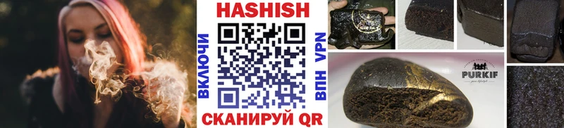 Купить  Саров  ГАШ Изолятор 