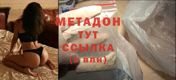 мдпв Гусев