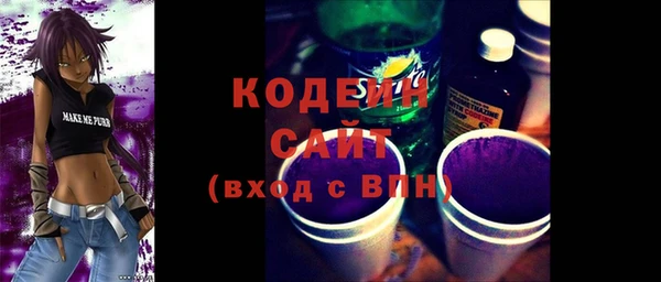 мдпв Гусев