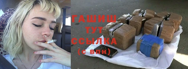 мдпв Гусев