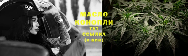 мдпв Гусев