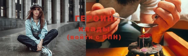 мдпв Гусев