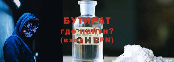 мдпв Гусев