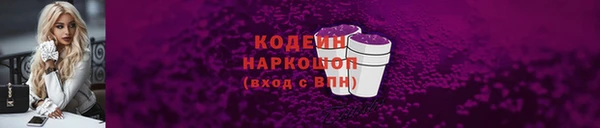 мдпв Гусев