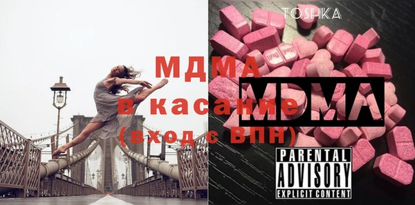 мдпв Гусев