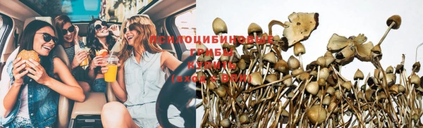 гидра Гусиноозёрск