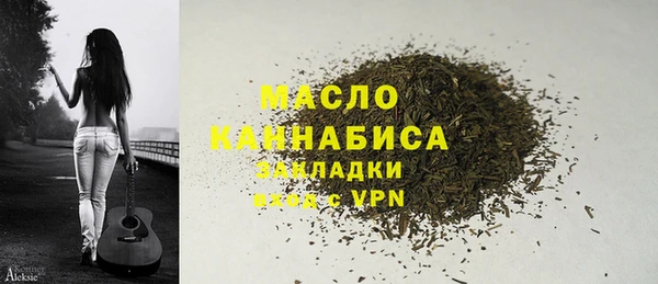 мдпв Гусев