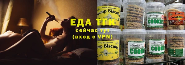 мдпв Гусев