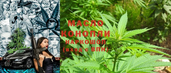 мдпв Гусев