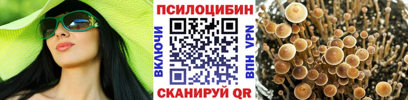 Купить  Саров  Галлюциногенные грибы ЛСД 