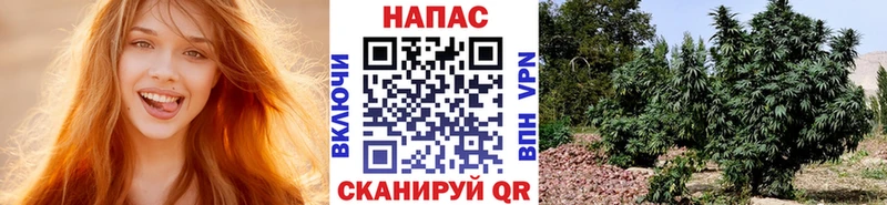 Канабис VHQ  Купить закладки  Саров 